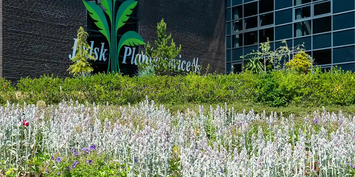 Biodiversitet, udendørs bede,
