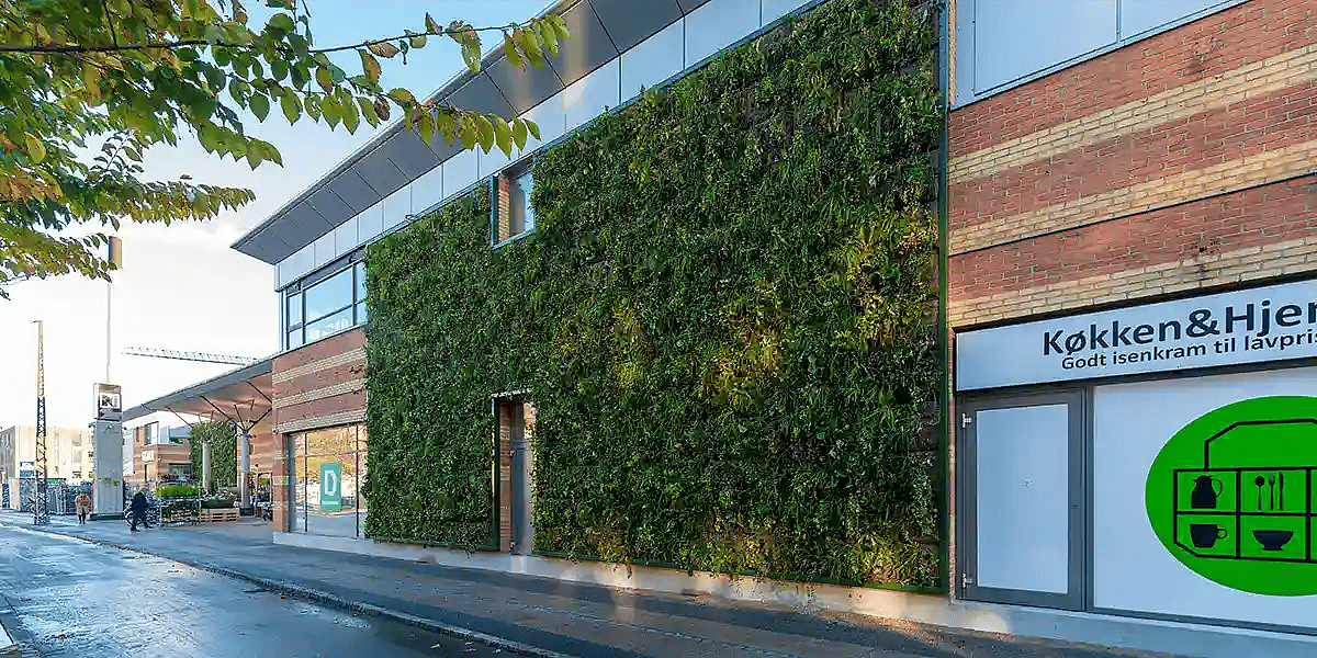 Plantevæg udendørs,