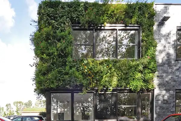 Bygning med udendørs plantevæg,