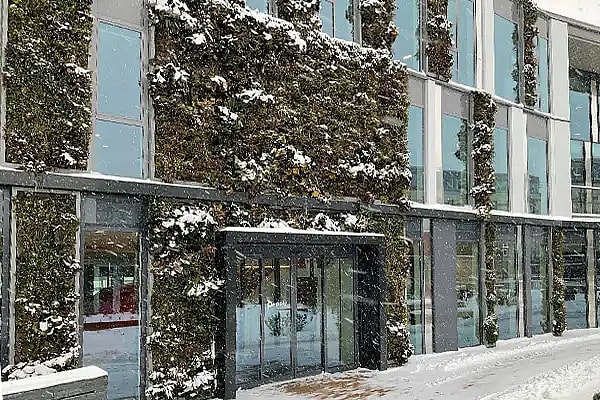 Grønne vægge vinter,