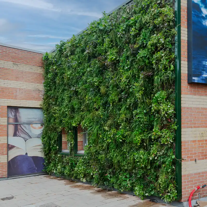 Udendørs grønne vægge,